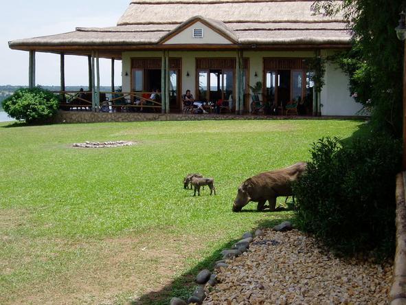 Mweya Safari Lodge - Garden 